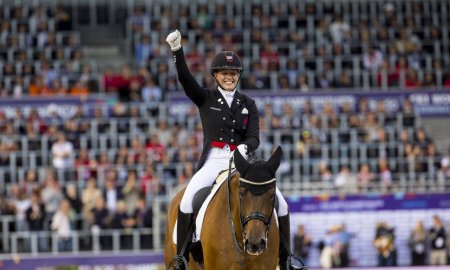 The Ultimate Guide to Dressage