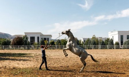 Why Horse Riding Businesses Face Seasonal Fluctuations — And How to Overcome Them