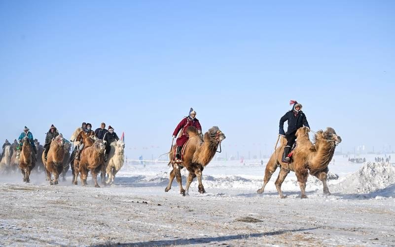 horse riding facility in summer vs winter