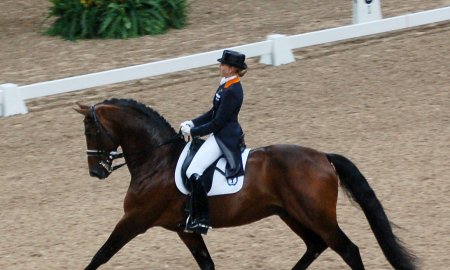 Across Centuries, Through Spirit — Hopehorse and the Eternal Art of Horsemanship