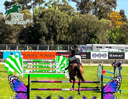 Hopehorse Butterfly Jump Standards