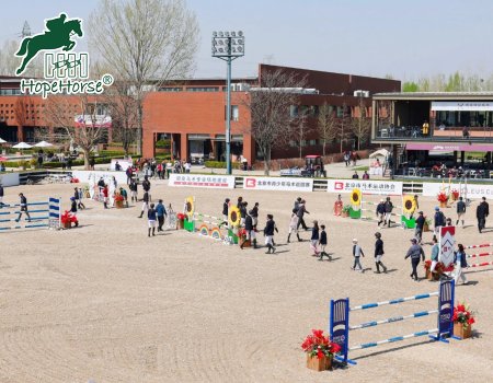 Cartoon Horse Jump Wings – Colorful Equestrian Obstacles for Kids