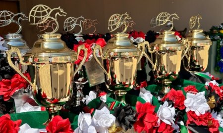 Hopehorse Equine: Empowering the Equine Industry in the Heart of Qingdao​