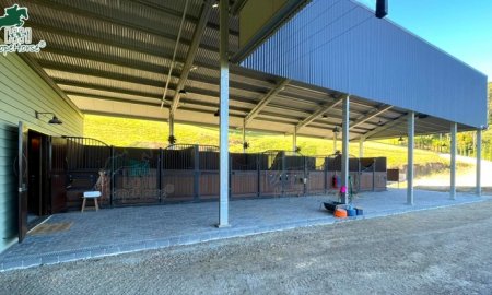 Barn Inspiration: Designing Exceptional Horse Barns with Stalls for 20+ Horses