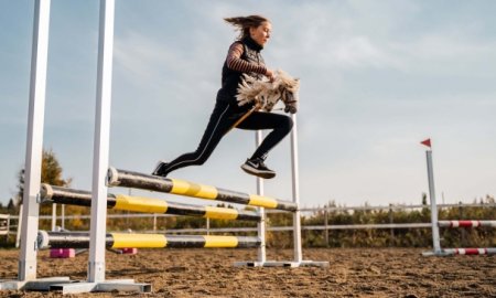 The Ultimate Guide About Hobby Horsing