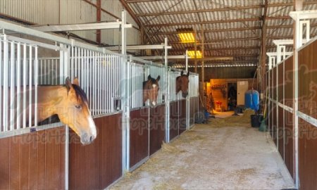 Hopehorse Equine China Manufacturer