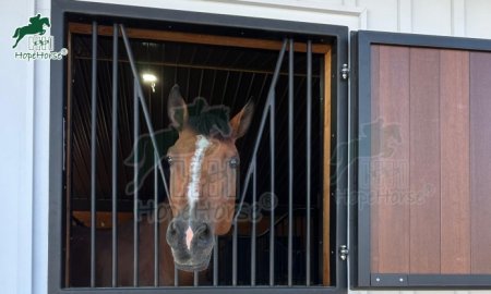 What Causes Charley Horses in Horses?