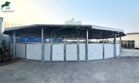 The Ultimate Round Pen Buyer’s Guide 