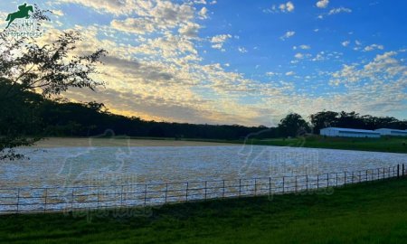 6 Must-Know Considerations for Building Horse Arena​