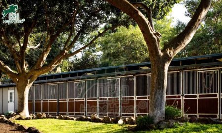 Designing Spaces for Healing and Well-Being