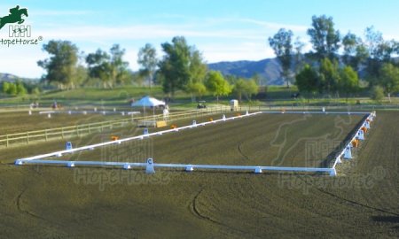 Different Types of Dressage Arenas Ultimate Guide
