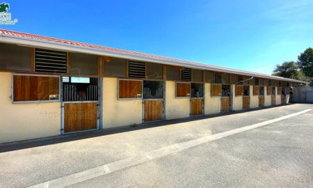 Designing the Perfect Horse Stall and Paddock System Ultimate Guide