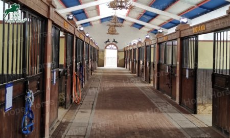How to Safely Store Hay While Maximizing Storage Space 