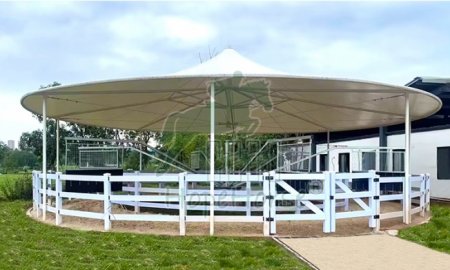 A Brief Introduction to Horse Walker