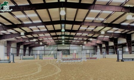 Fibers in Equestrian Surfaces