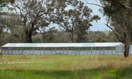 Temporary Stables: A Versatile Solution for Equine Housing