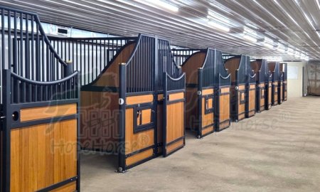 Design Inspiration for Barn Doors: Elevate Your Barn with hopehorse equine equine