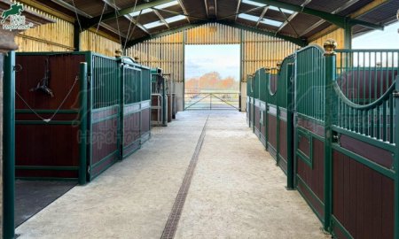 Inside a Horse Stable: Essential Design & Setup Guide for Hopehorse Equine Readers