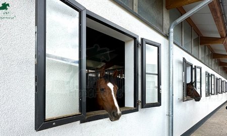 The Ultimate Guide to Barn Windows for Horse Facilities
