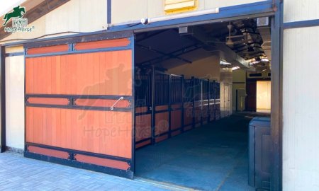 Elevate Your Barn: The Ultimate Guide to Premium Barn Entry Doors