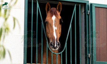 Horse Stall Windows: Custom Solutions by HopeHorse