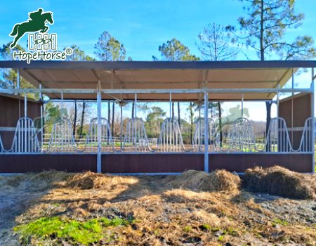Feeding Wall for Group Housing of Horses