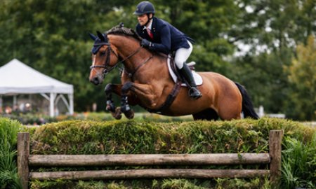 Hunter vs Jumper: What’s the Difference?