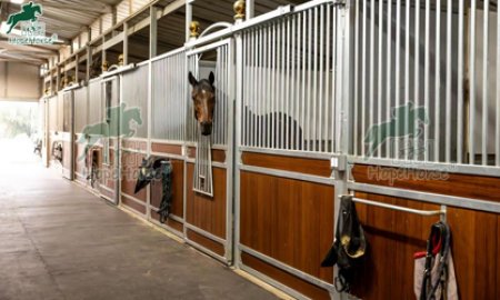 Custom Equestrian Facility Project in CA of United States
