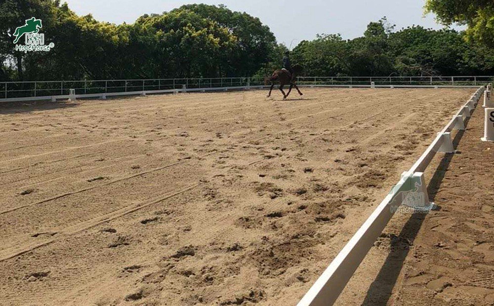 dressage arena