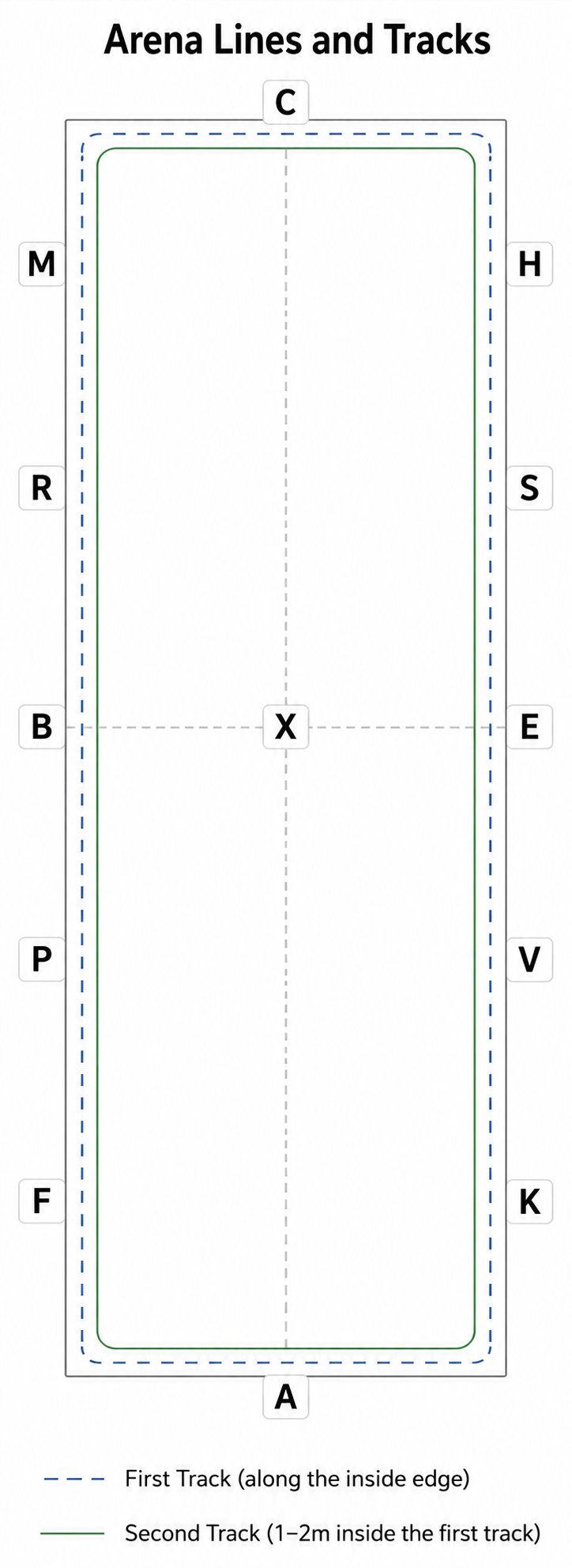 arena lines and tracks