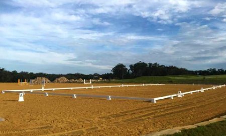Dressage Arena Layout Explained: Letters, Lines, and Riding Geometry Rules  