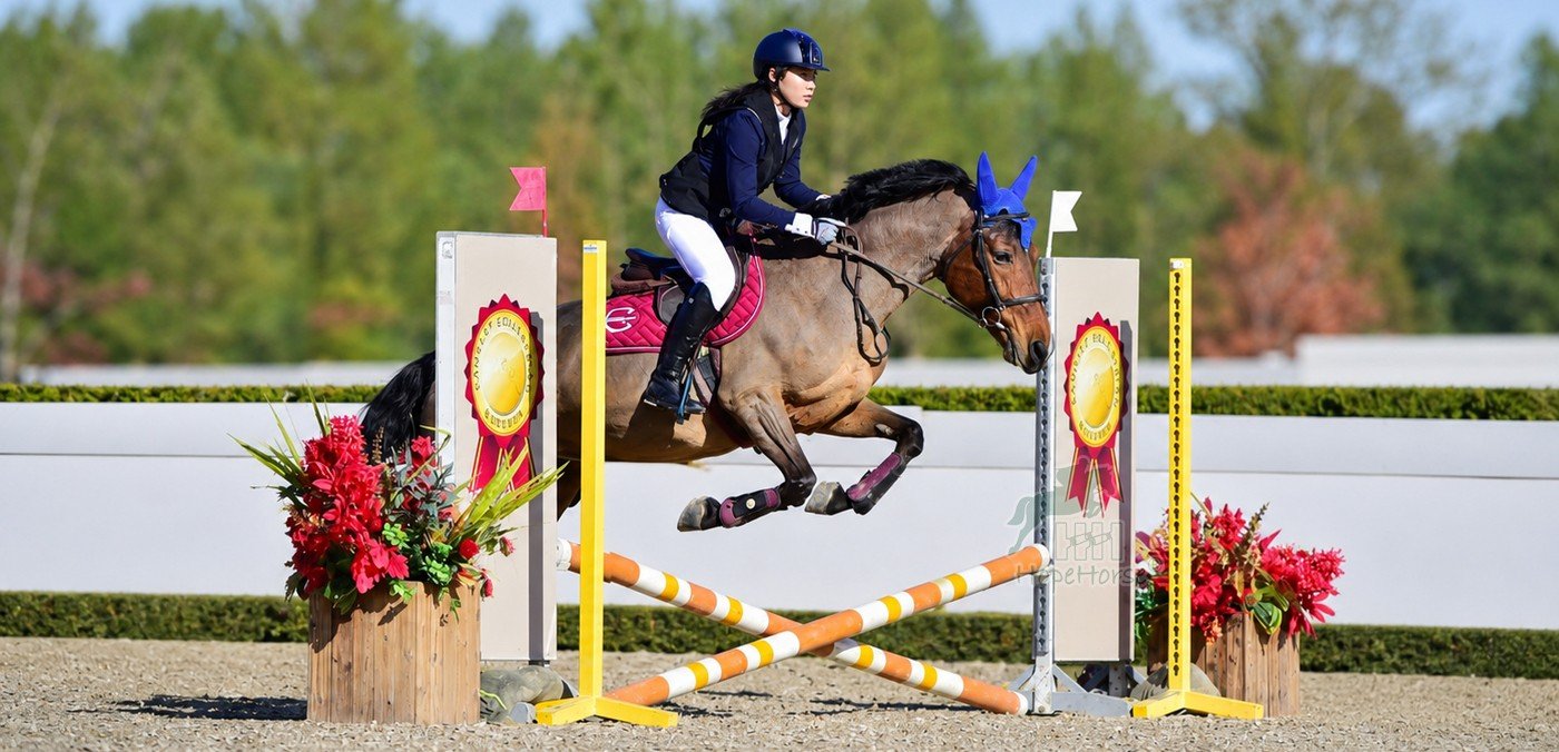 show jump arena