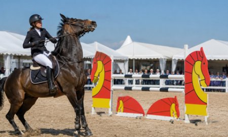 How to Help Your Horse Cope With Jumping Fillers
