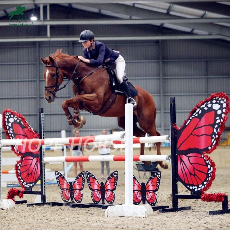 AJ01 horse show jump