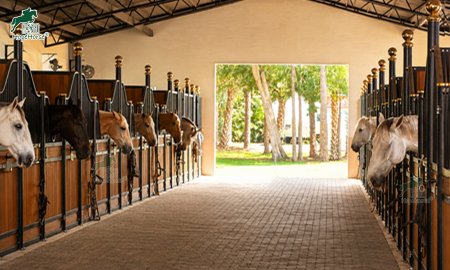 Horse Stall Doors and Fronts: Sliding, Swinging and Dutch Door Buying Guide