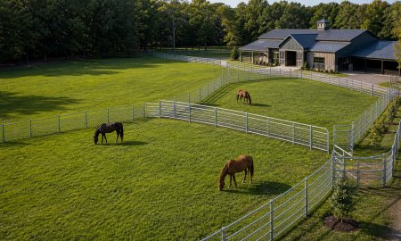 Best Fencing for Horses in 2026: Safety and Material Comparison Guide