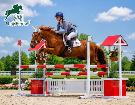 AJ06 wishing well theme horse show jump obstacle