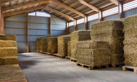 Horse Barn Hay and Feed Storage: Fire, Moisture, Pest and Workflow Guide