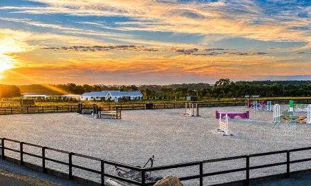 Horse Show Jumps Buyer and Safety Guide: Poles, Cups, Standards and Footing
