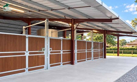 Horse Stall Partitions and Wall Materials: A Safety and Durability Guide