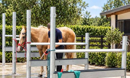 Horse Wash Stall Guide: Dimensions, Drainage, Non-slip Surfaces, and Equipment Selection