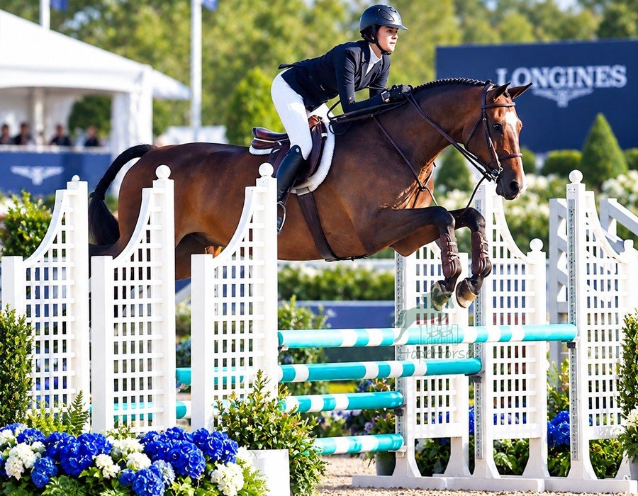 Equestrian Horse Jumping Wing