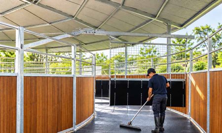 Horse Walker Footing and Drainage: Building a Consistent, Maintainable Track