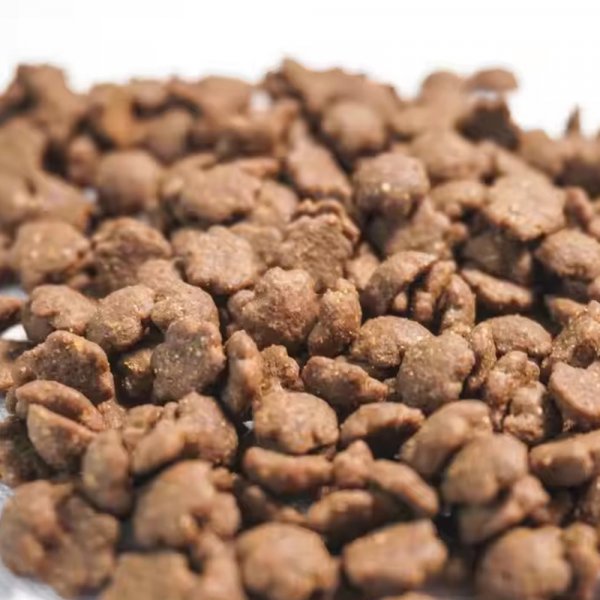 Pet food dog food 