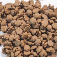 -1_0006_Factory Exports Custom Flavors Shapes crude protein content 30% -40% All Age dry dog food3