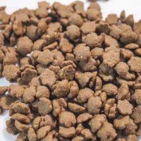 -1_0001_Cat food supplier Wholesale Price Private Label grain-free cat food dry bulk organic natural pet dry food2