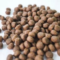 -1_0003_Cat food supplier Wholesale Price Private Label grain-free cat food dry bulk organic natural pet dry food4