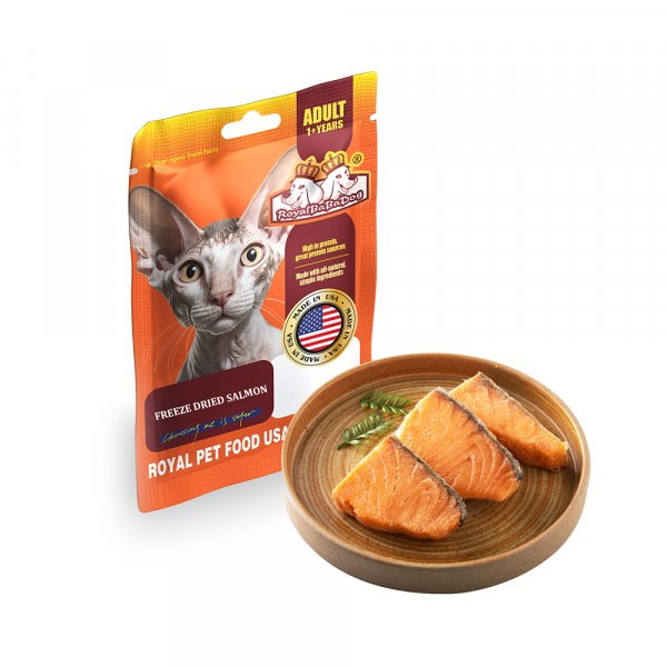 Freeze dried salmon