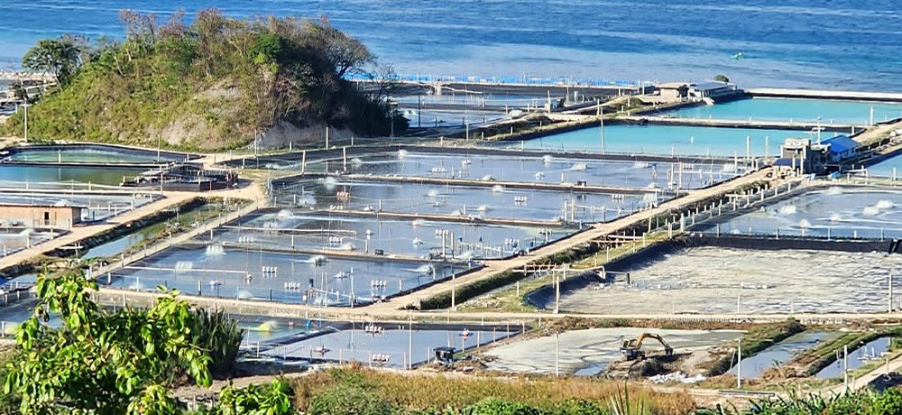 HIGH-DENSITY AQUACULTURE TURBO BLOWER